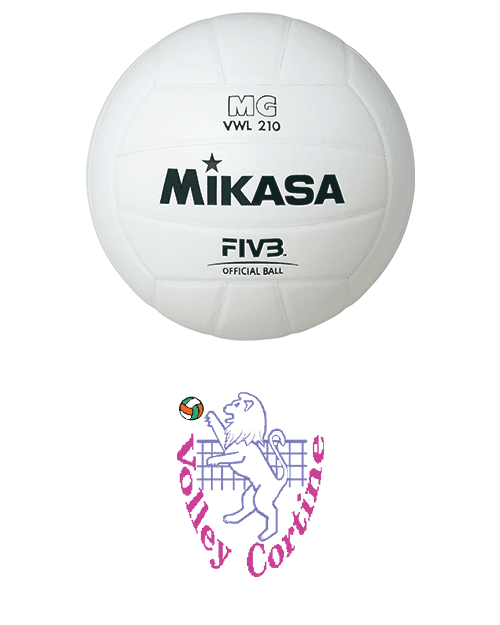 https://www.volleycortine.it/wp-content/uploads/2019/01/storia_1983.png